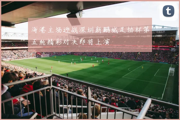 海港主场迎战深圳新鹏城足协杯第五轮精彩对决即将上演