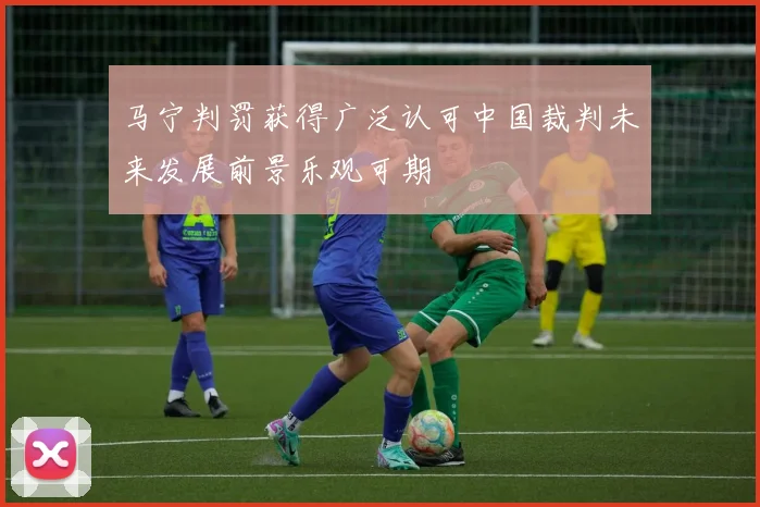马宁判罚获得广泛认可中国裁判未来发展前景乐观可期